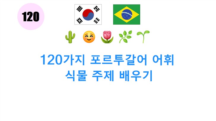 120가지 포르투갈어 어휘: 식물 주제 배우기